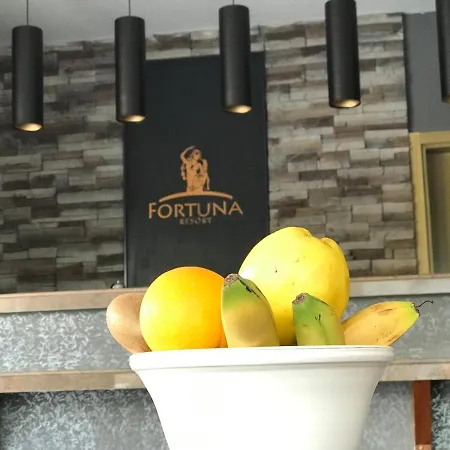 Fortuna Luxury Alanya